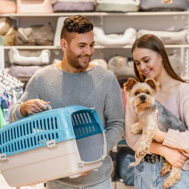 Montar uma Pet Shop: Perspectivas e Oportunidades